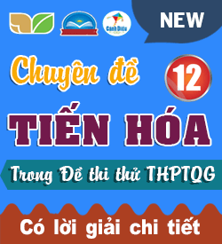 Tiến hóa (VD_VDC)